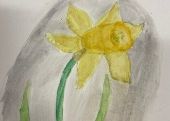 Observations in watercolour by 6 Anning