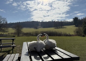 Year 4 residential trip to Juniper Hall