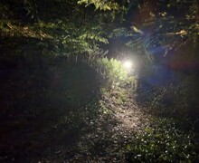 IMG 4533