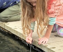 IMG 4626