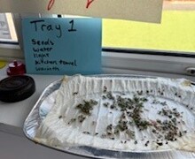 111