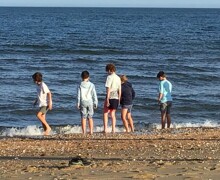 IMG 0655