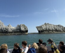 IMG 7940